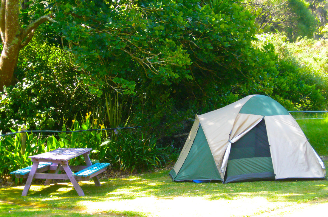 Camping at Hihi Beach Holiday Park