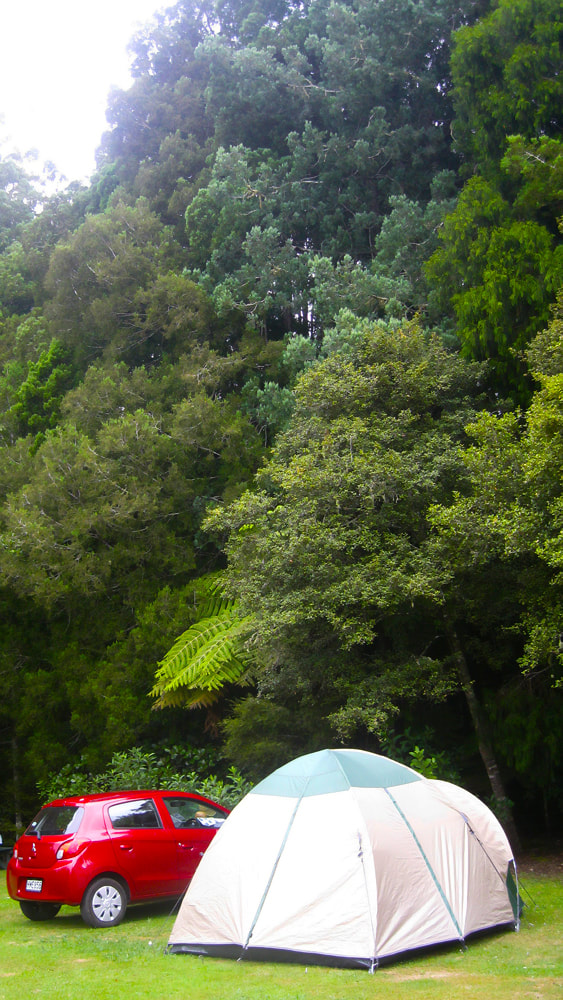 Trounson Kauri Park Campground