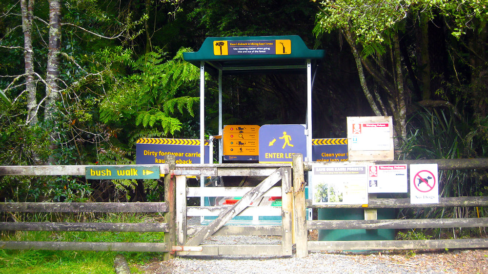 Entrance to Trounson Kauri Park